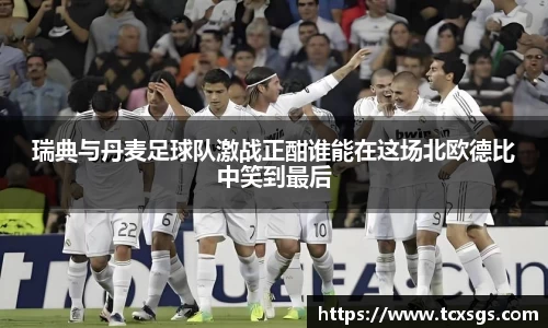 瑞典与丹麦足球队激战正酣谁能在这场北欧德比中笑到最后