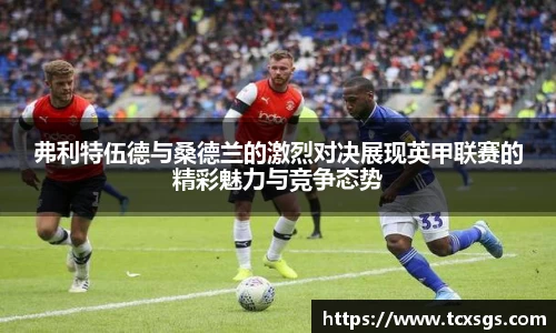 弗利特伍德与桑德兰的激烈对决展现英甲联赛的精彩魅力与竞争态势