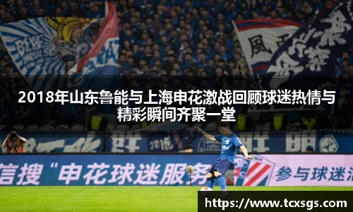 2018年山东鲁能与上海申花激战回顾球迷热情与精彩瞬间齐聚一堂