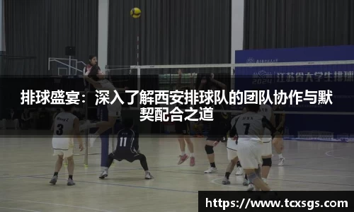 排球盛宴：深入了解西安排球队的团队协作与默契配合之道
