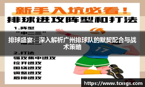 排球盛宴：深入解析广州排球队的默契配合与战术策略